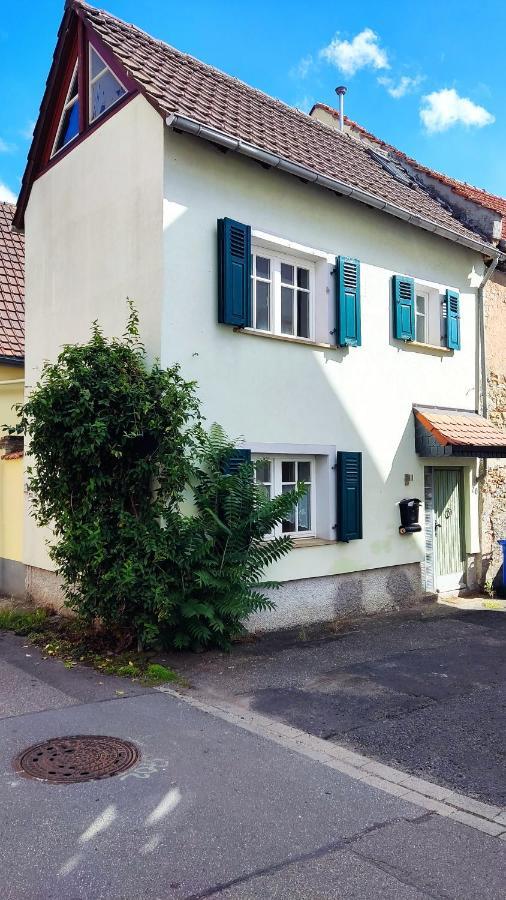 Schoenes Gemuetliches Haus Toplage Freinsheim Exteriör bild