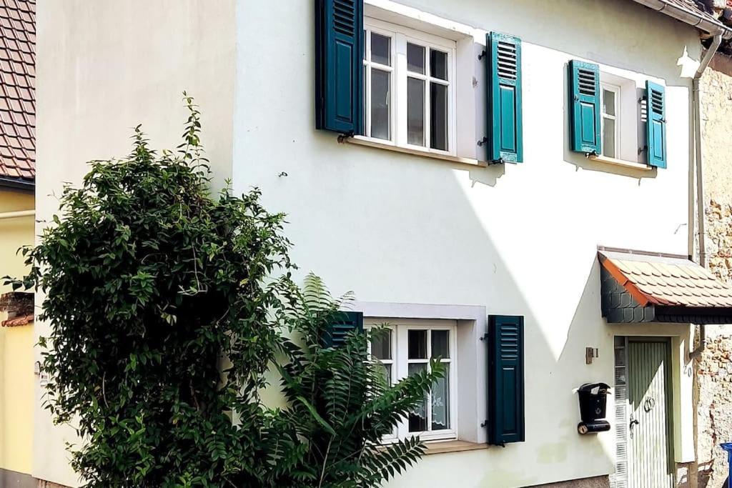 Schoenes Gemuetliches Haus Toplage Freinsheim Exteriör bild
